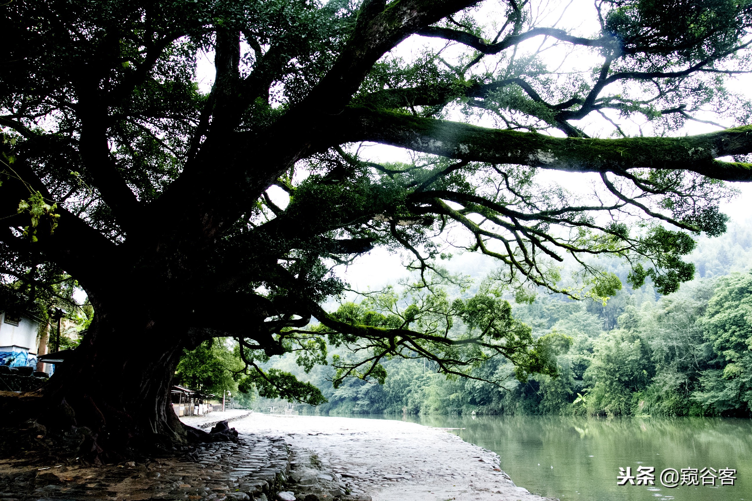 不可错过的英文歌,不可错过的云水谣