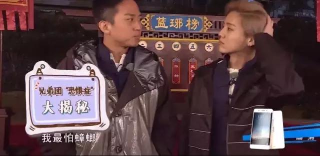 断头不死，马桶里重生，南方蟑螂凭什么把北方汉子吓出猪叫