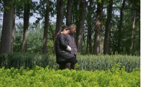 农村人开店出售除草剂，似乎非常有利可图，而且风险也很大。