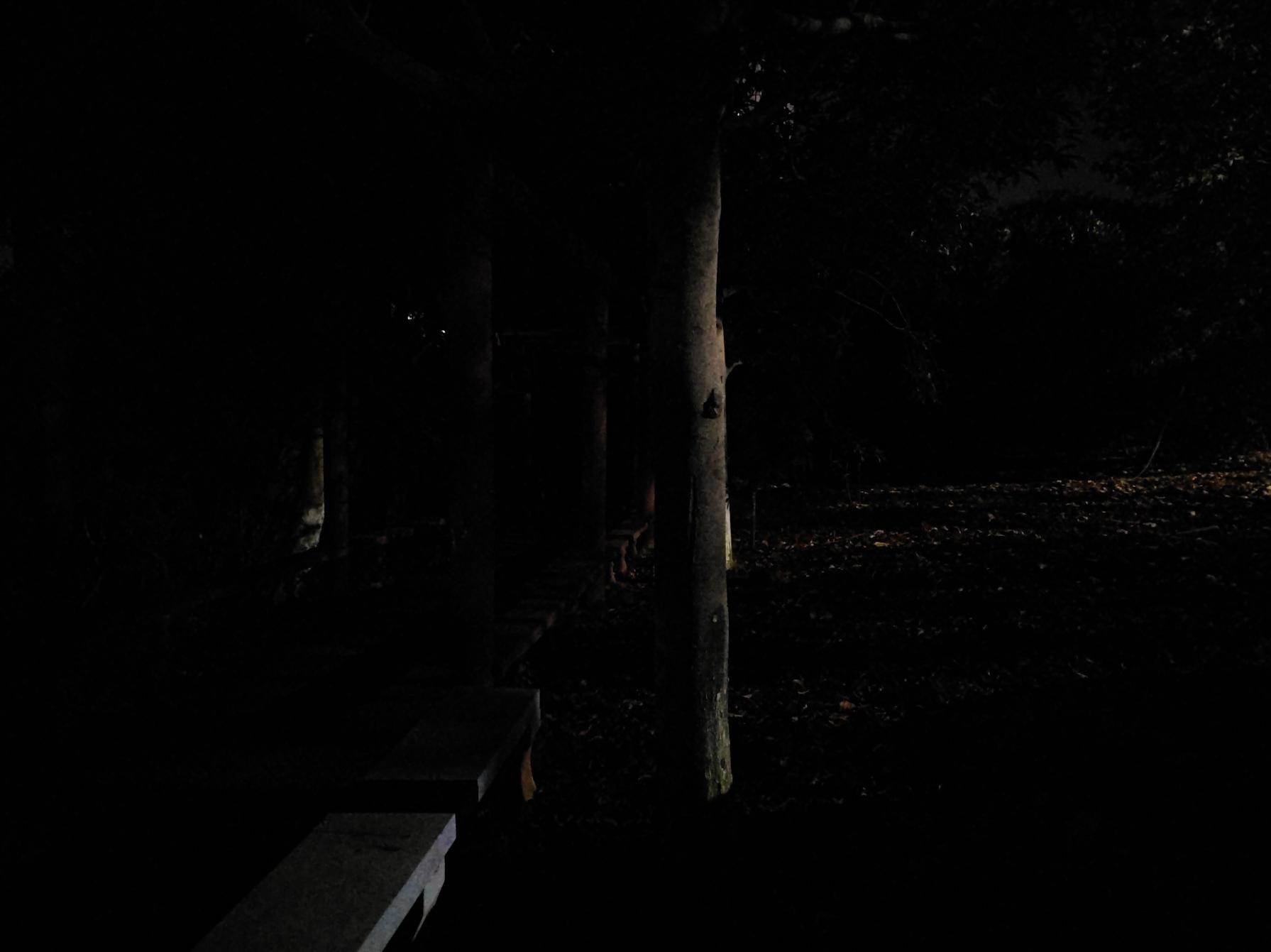 最纯粹的战术手电筒体验如何?傲雷WARRIOR武士X3首发上手