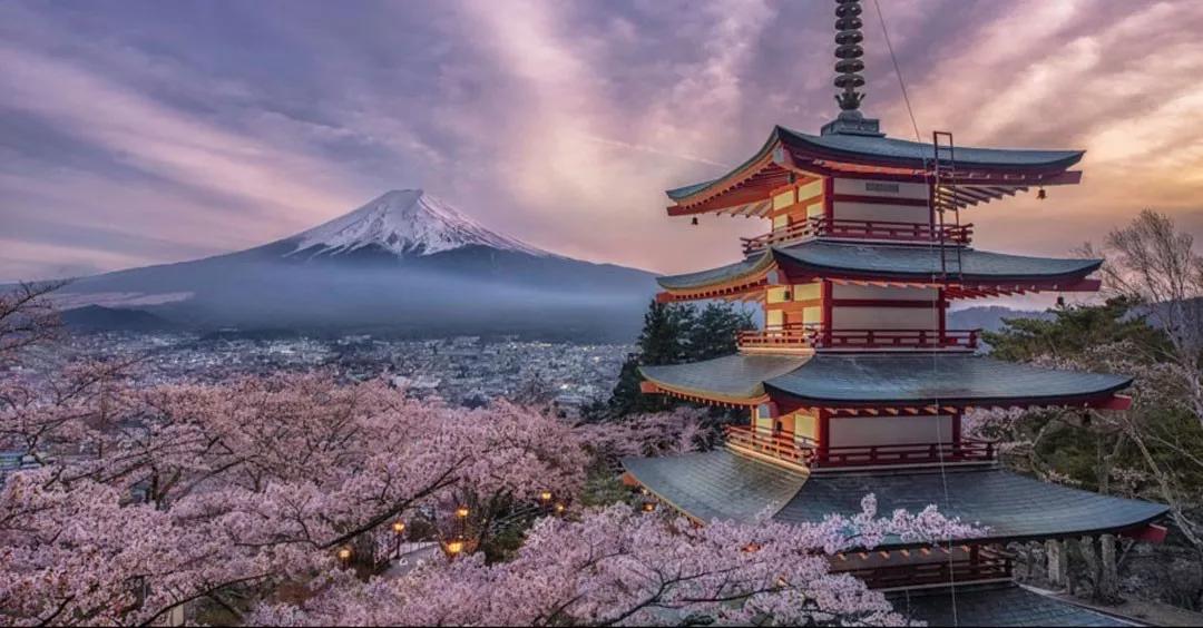 近期去日本旅游的注意事项,去日本一定要当心四大陷阱