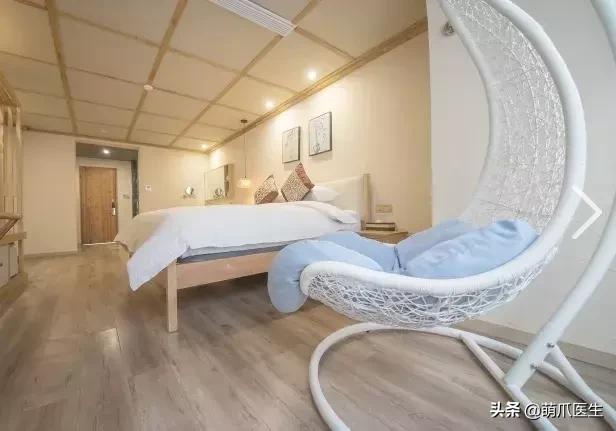 带宠物住宿酒店,带宠旅行酒店