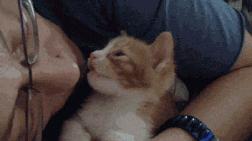 口臭的原因和快速解决方案,很严重的口臭为什么找不到原因