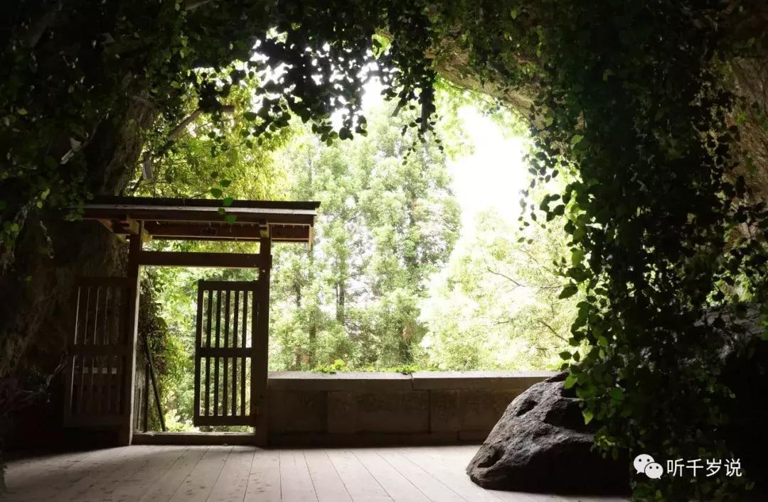 日本东京熊本熊,日本熊本游