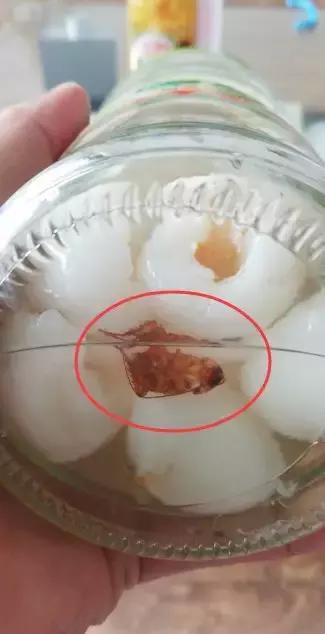 男子超市买了瓶荔枝罐头，竟还“附赠”一只蟑螂！生产厂家在钦州