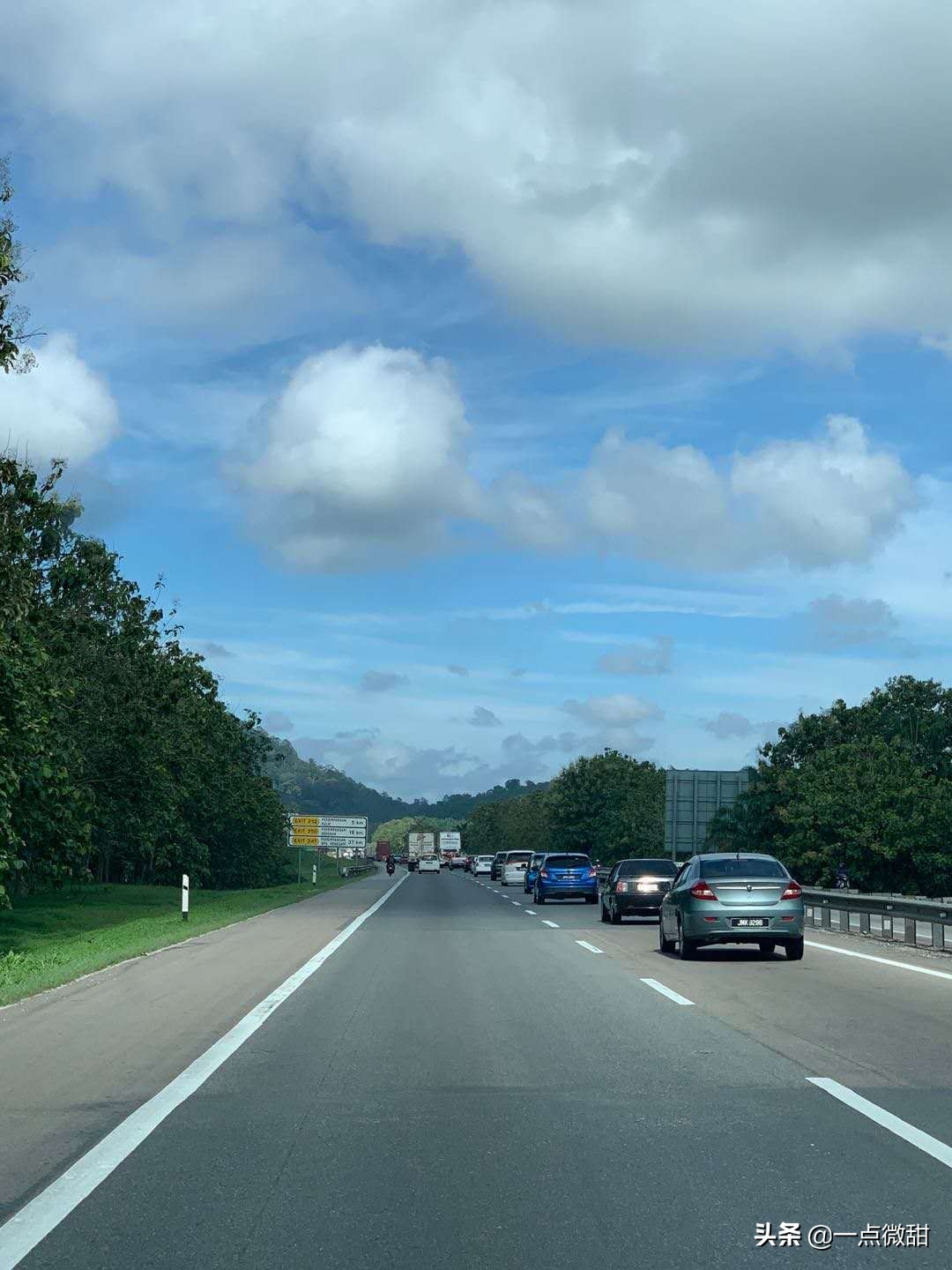 马来西亚红心榴莲采摘,马来西亚榴莲果园摘法