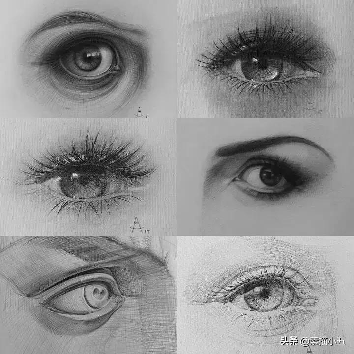 他画的素描无与伦比,他画的画栩栩如生让人拍案叫绝