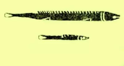 古人没有手机随身携带什么呢,古人晚上没有手机和电视怎么生活