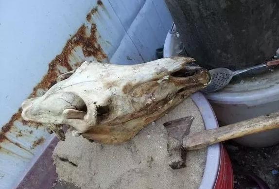 马骨手串圆珠,马骨手串价格及图片