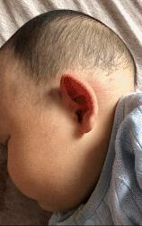 搞笑动图gif动物,搞笑动图gif沙雕