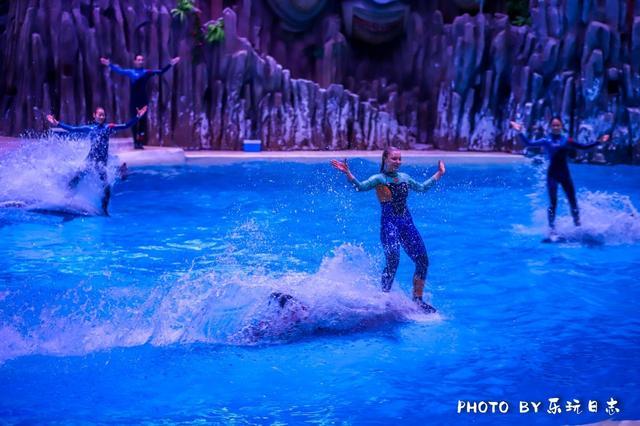 来珠海亲子必打卡景点，人工飘雪海洋动物表演，最适合周末亲子游