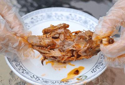 成都环城生态公园攻略,双流值得去的公园