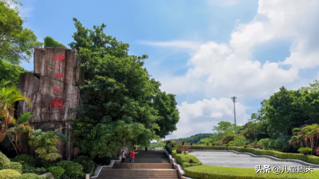 南山外国语科苑小学深圳排名,深圳南山麒麟小学最新排名