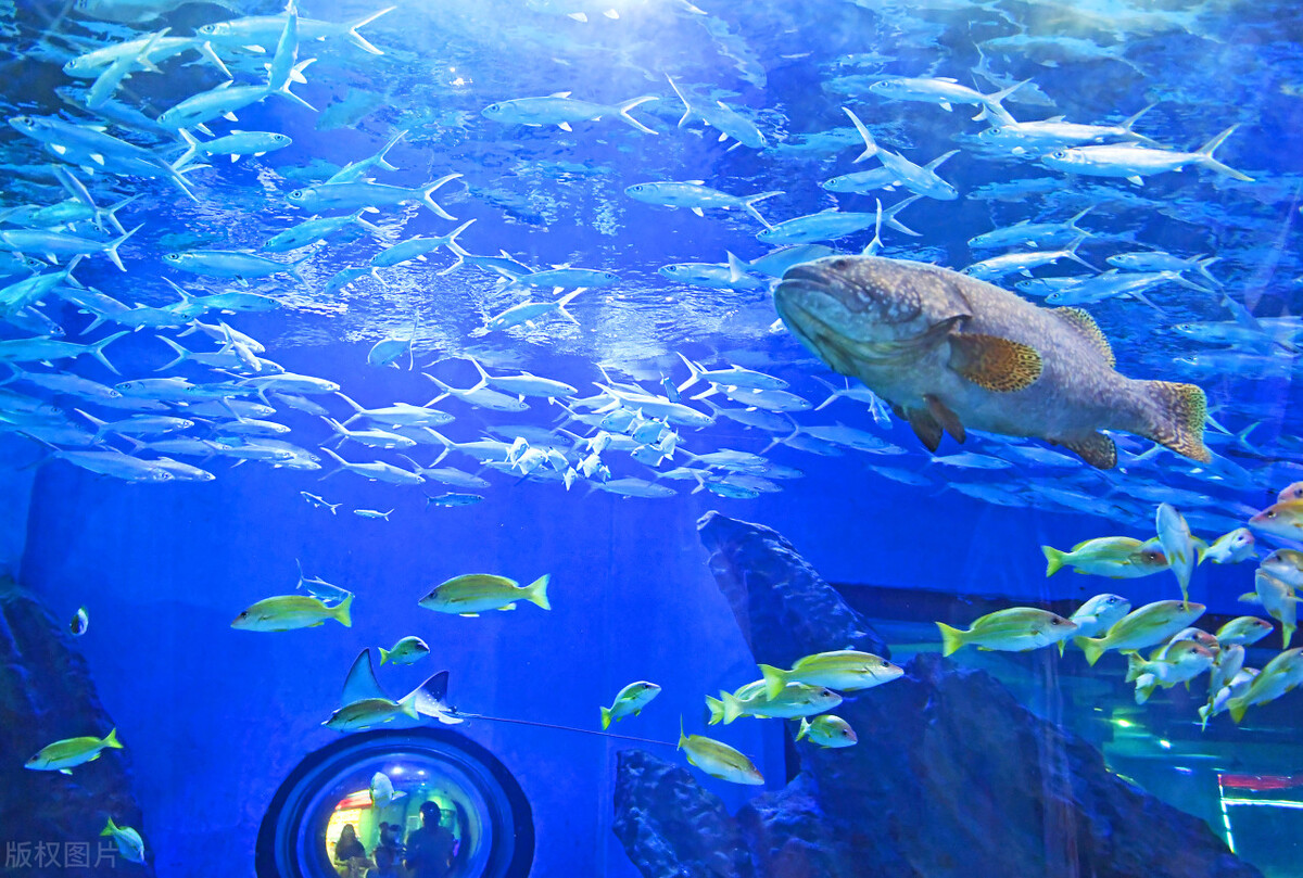 广东景区教师节免票,山叶口景区教师节免票吗