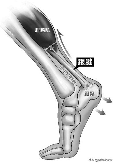 杜兰特跟腱断裂哪场比赛视频完整,2019nba勇士vs猛龙杜兰特跟腱断裂