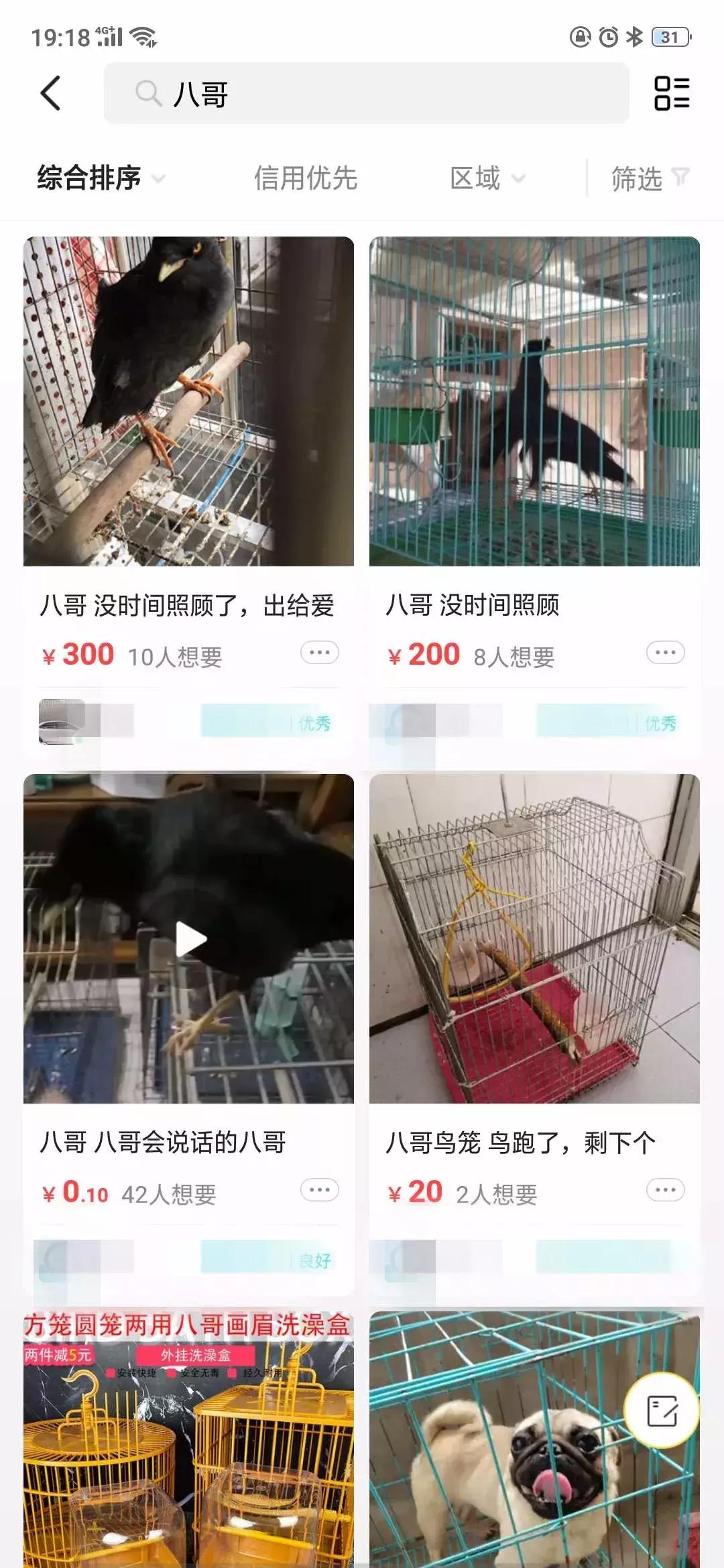 涉黄、买卖野生动物?原味*裤内**?从万能的淘宝,到万能的闲鱼