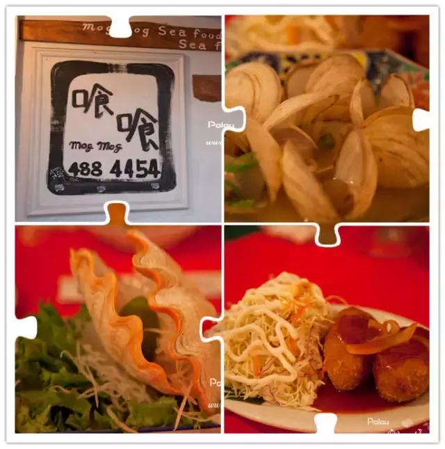 帕劳旅游攻略自由行路线推荐,帕劳旅游攻略全过程