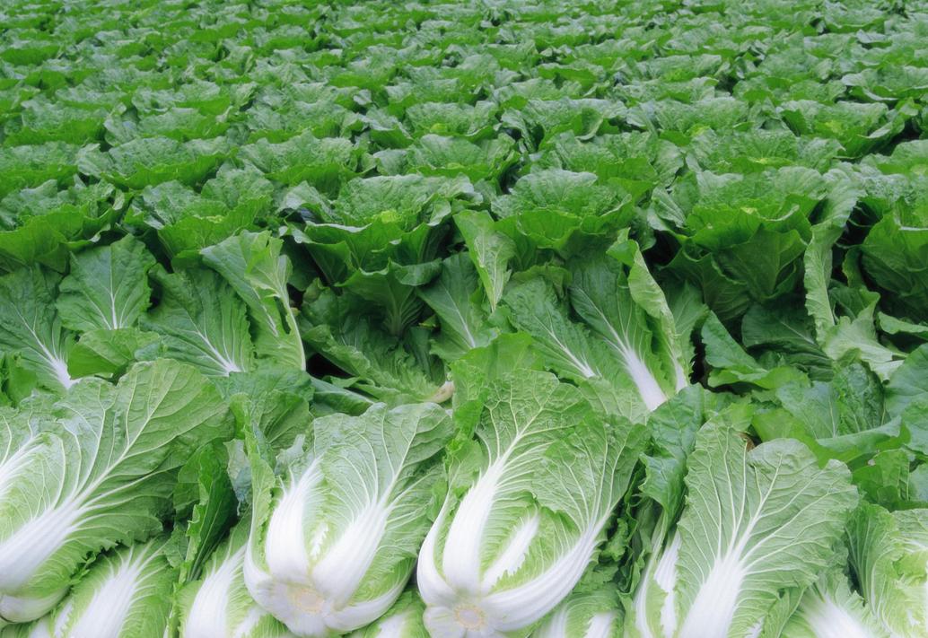 齐鲁名字的由来,胶州为何得名