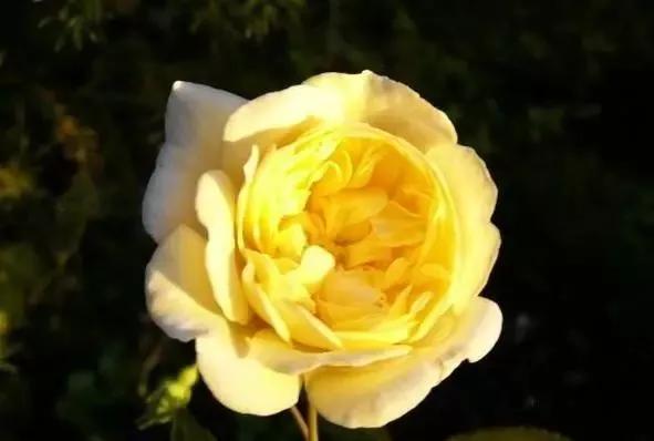 每天学习一点点女性小常识,每天学习一点点科普一下