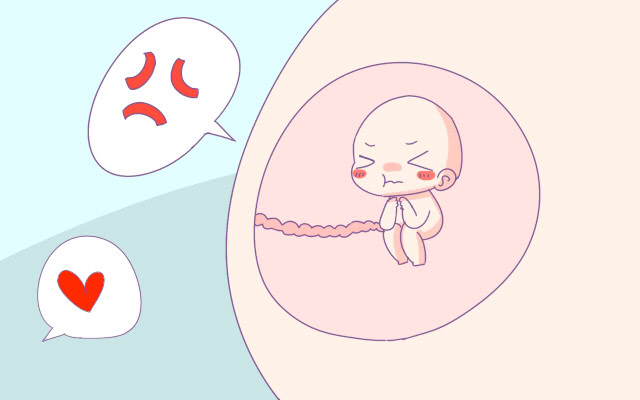 怀孕后这5件事对胎宝宝很危险,怀孕了发脾气对胎宝有什么影响