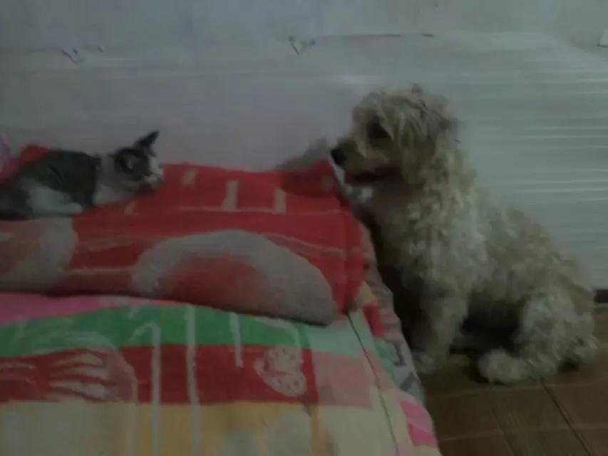 散文今夜我静静的想你,散文今夜我想你