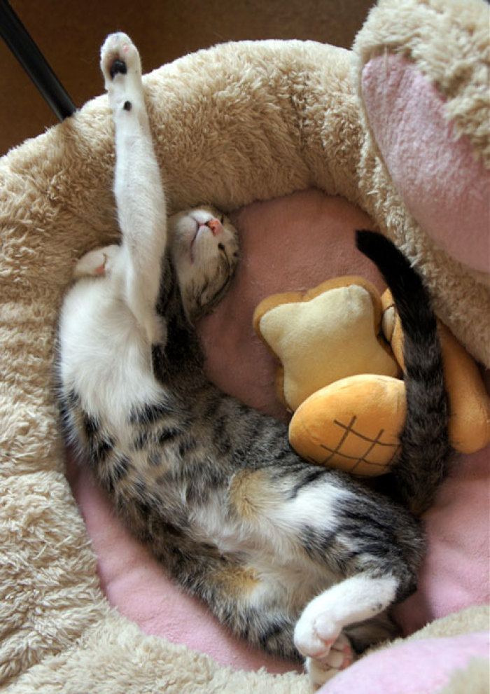 外国人说feelyou,外国人说iwantyou是什么意思