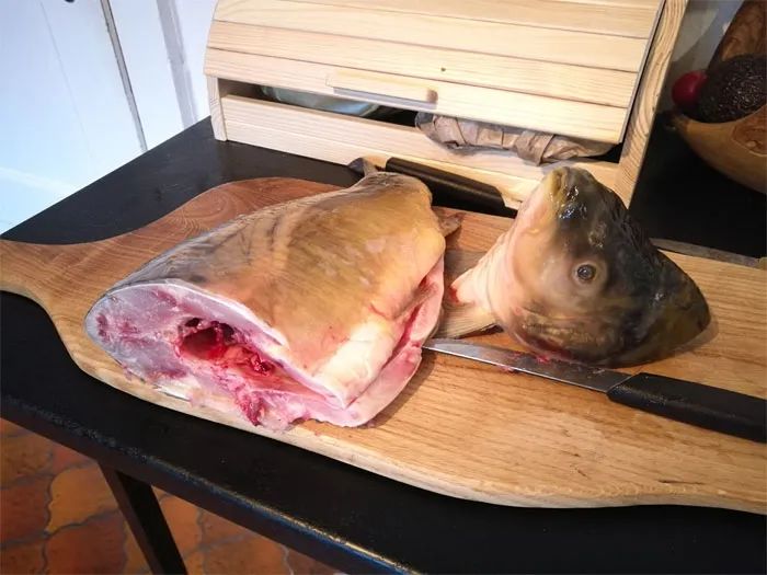 疫情期间住古堡，国外普通女大学生迅速成百万网红，获千万点赞