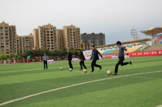 金堂新华文轩杯足球赛高中,金堂小学足球比赛