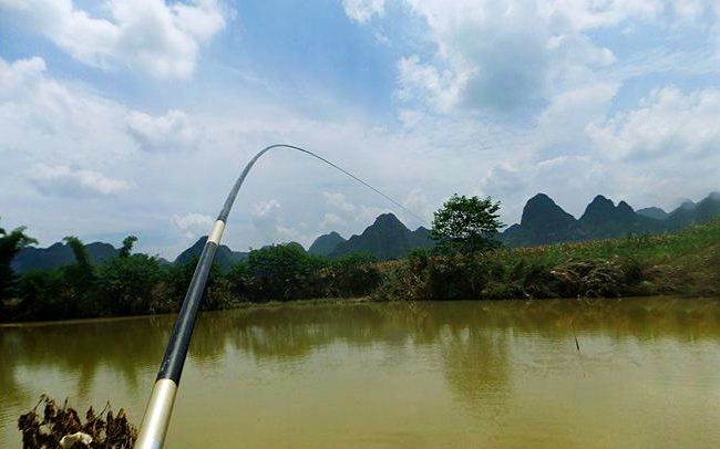 只要掌握遛鱼方法，可以减少跑大鱼烦恼。