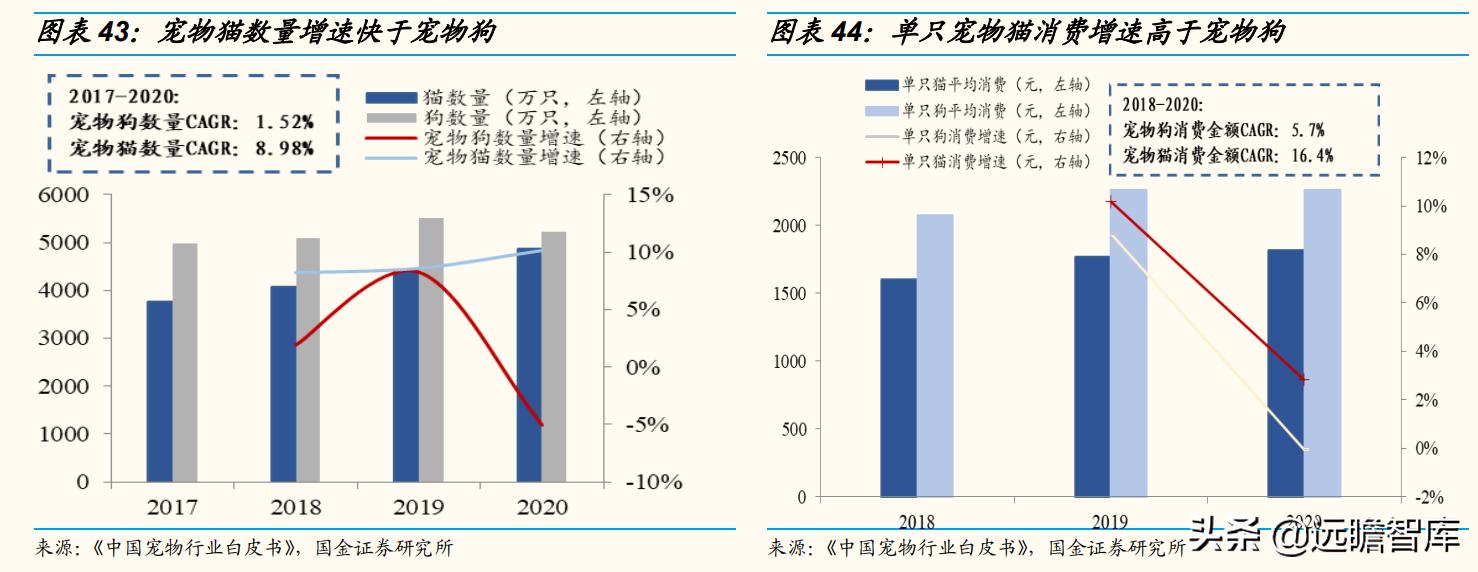 国内宠物产品研究现状及趋势分析,宠物行业新国货