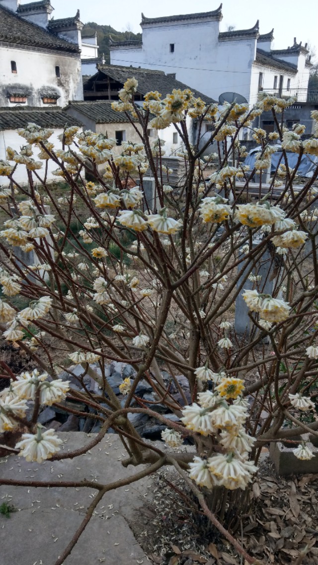 戒烟五部曲解析,戒烟完全版