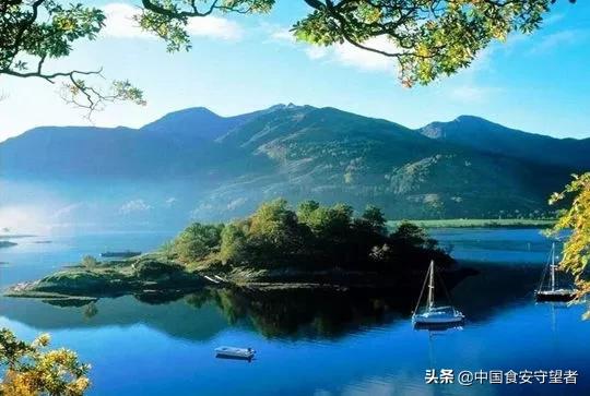 中国各省地图代表性特产,今年各省出乎意料的特产