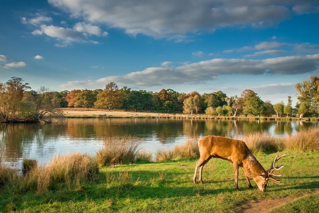 投资者亲述：同样预算，东伦敦/西伦敦之间，如何考量？