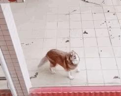 隔离的日子如同宅家,被隔离的日子真难熬吗