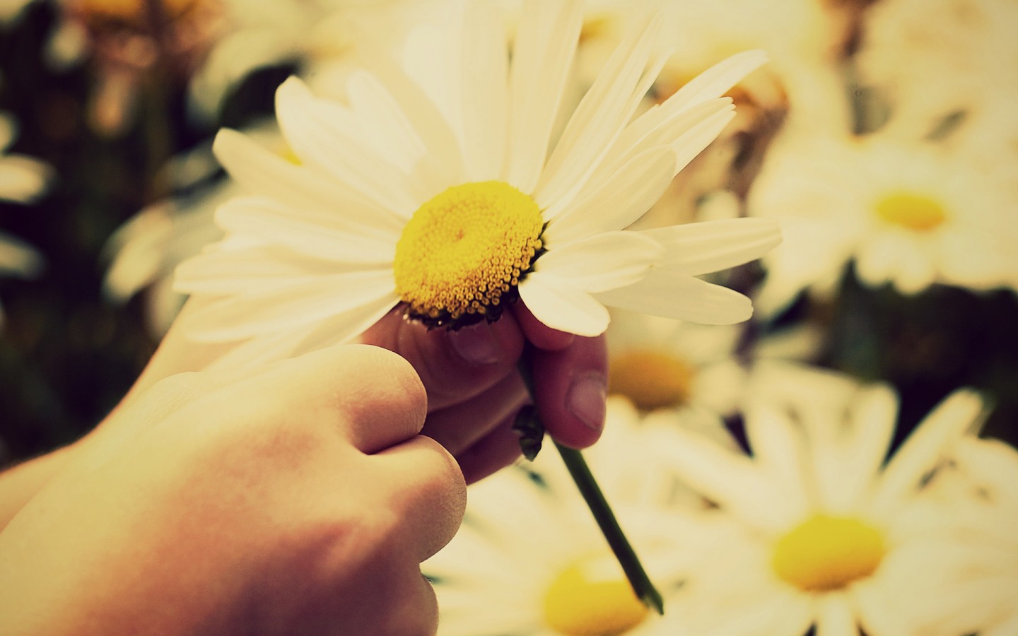 老公抑郁了怎么劝他去医院,老公抑郁了怎么补救