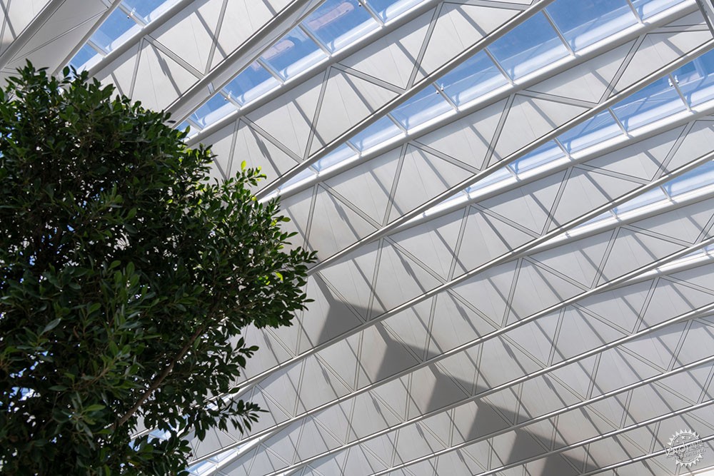 俄亥俄州新兴医疗园区的合作共享办公空间