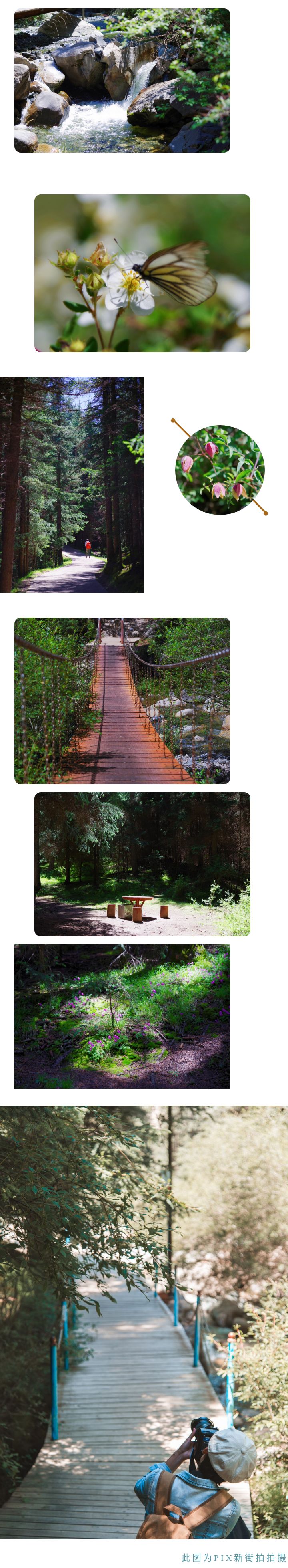 张掖西行旅游攻略,张掖七彩之行简介