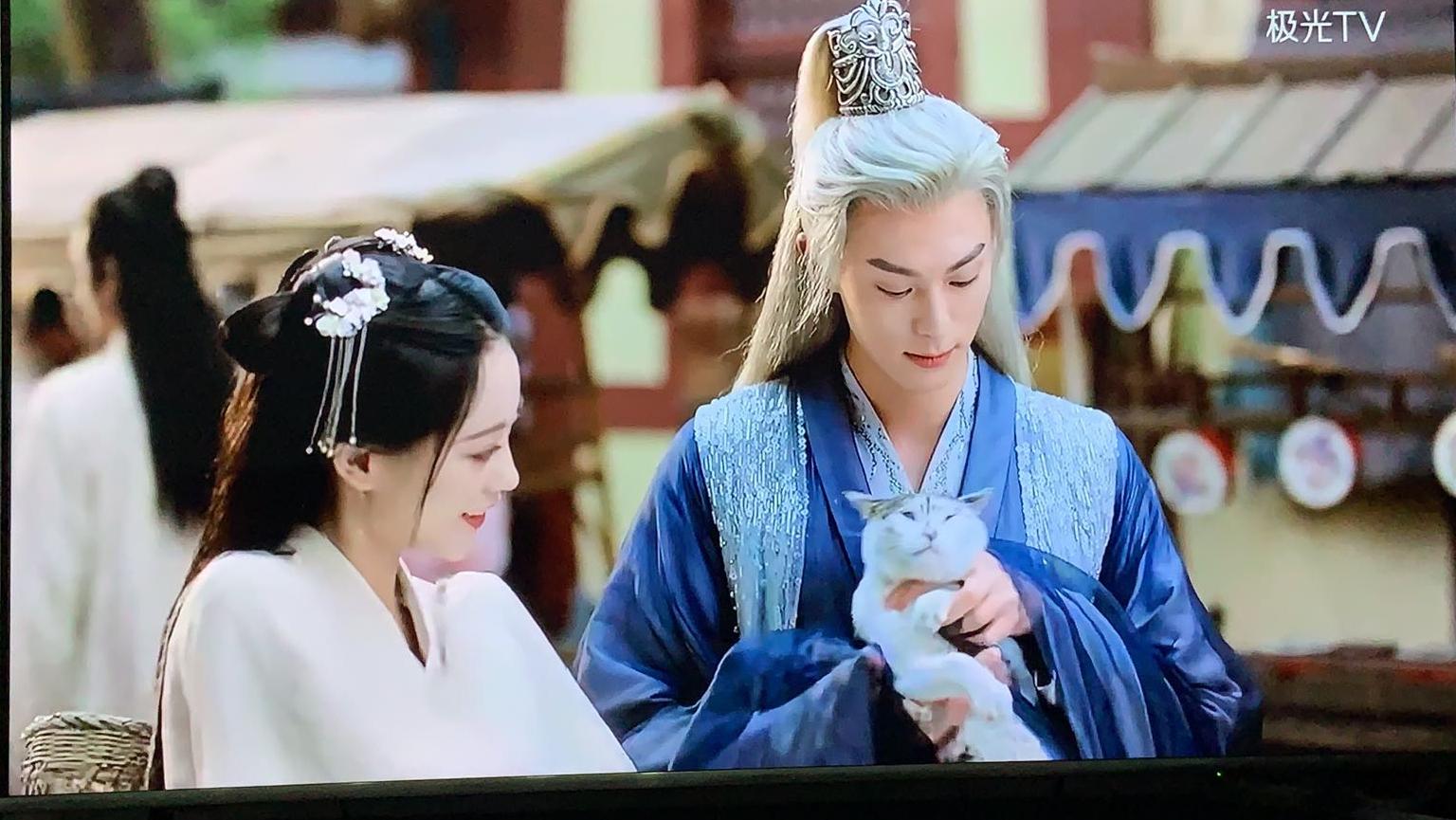 盘点猫咪高能名场面 (猫咪10大最萌镜头)