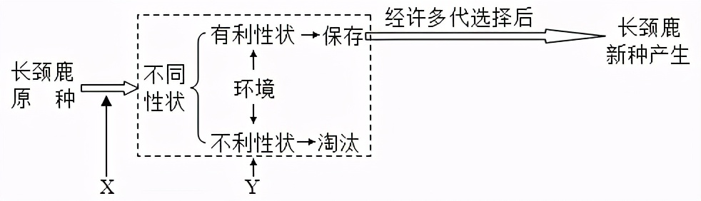 临沂市生物实验操作考试视频,临沂物理实验操作考试试题