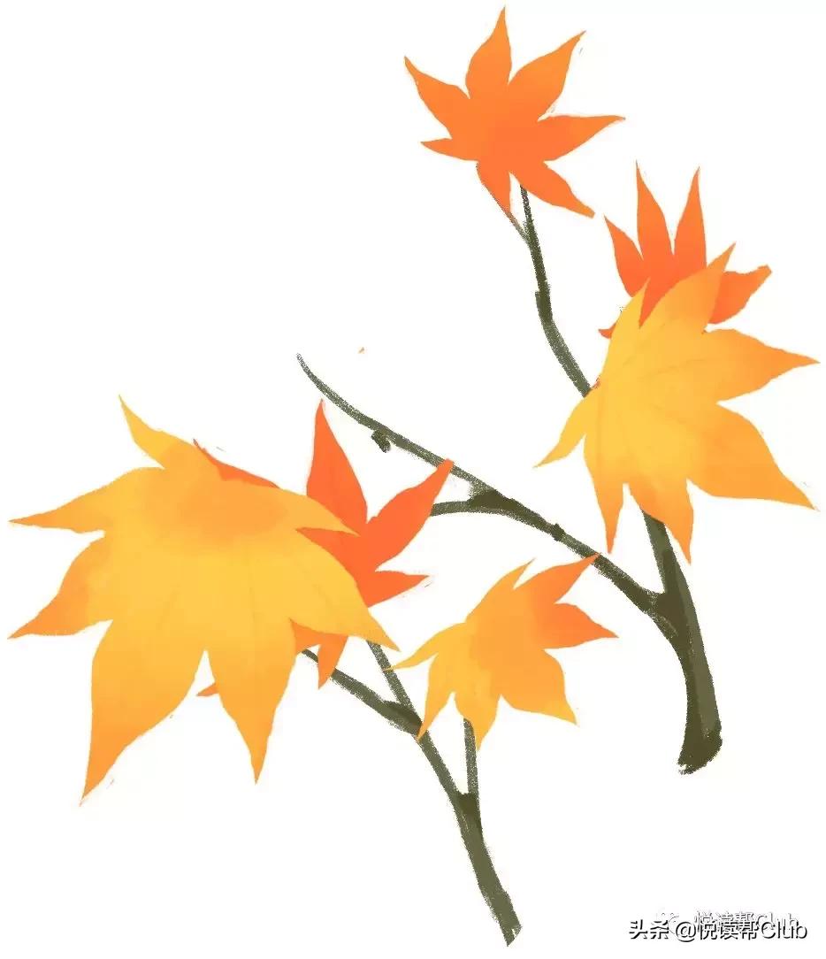 安顺省级幼儿园,安顺市幼儿园推荐