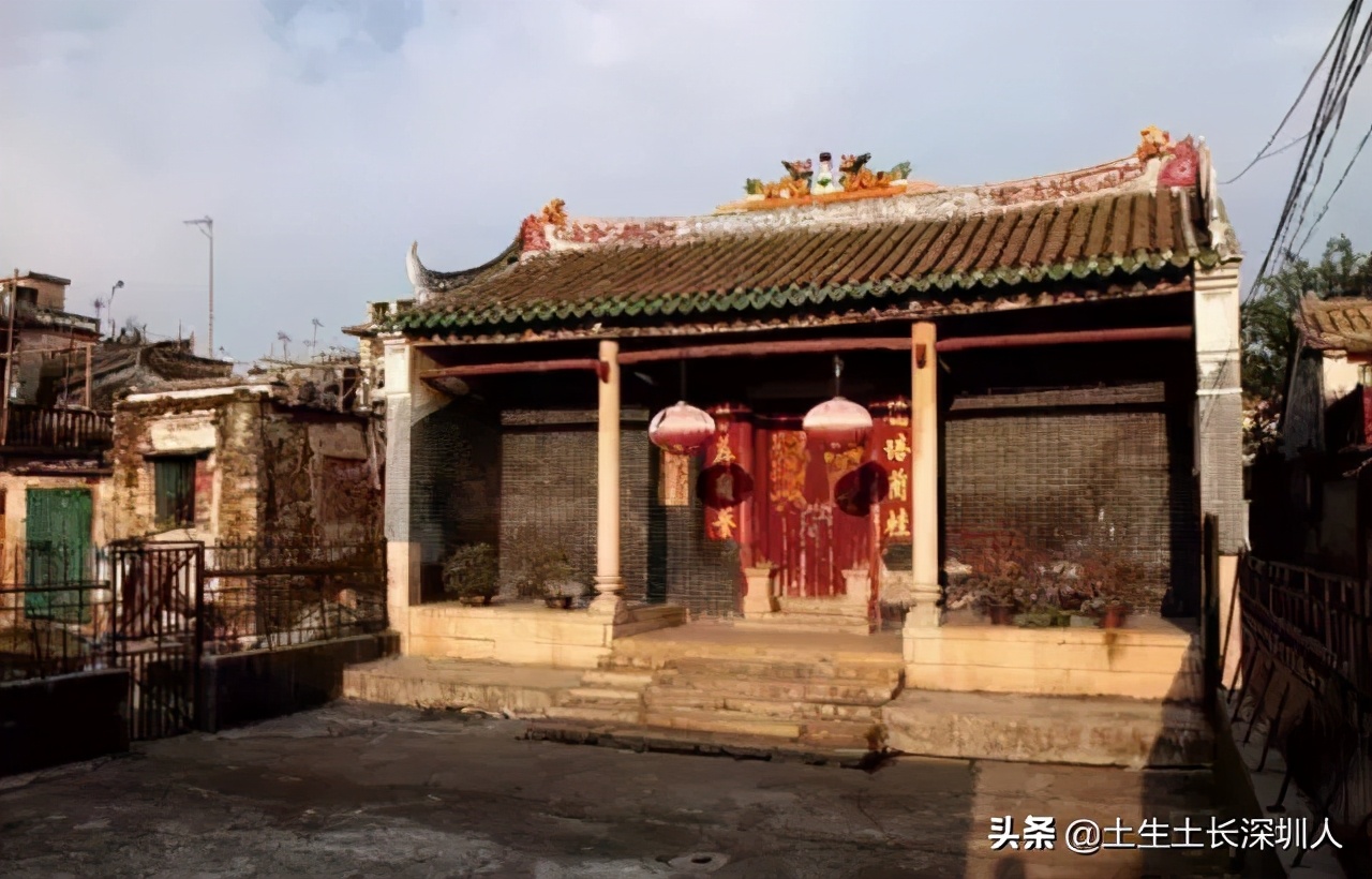 深圳广府家族,宗族文化在广东有多强