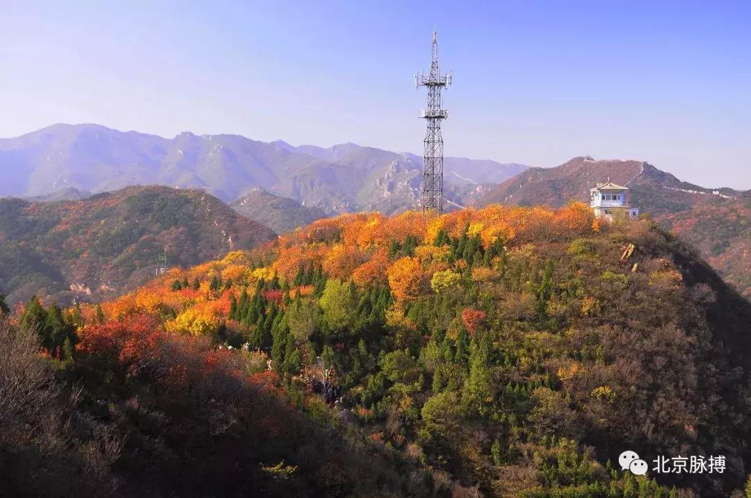 画说回龙观,北京最漂亮的森林公园