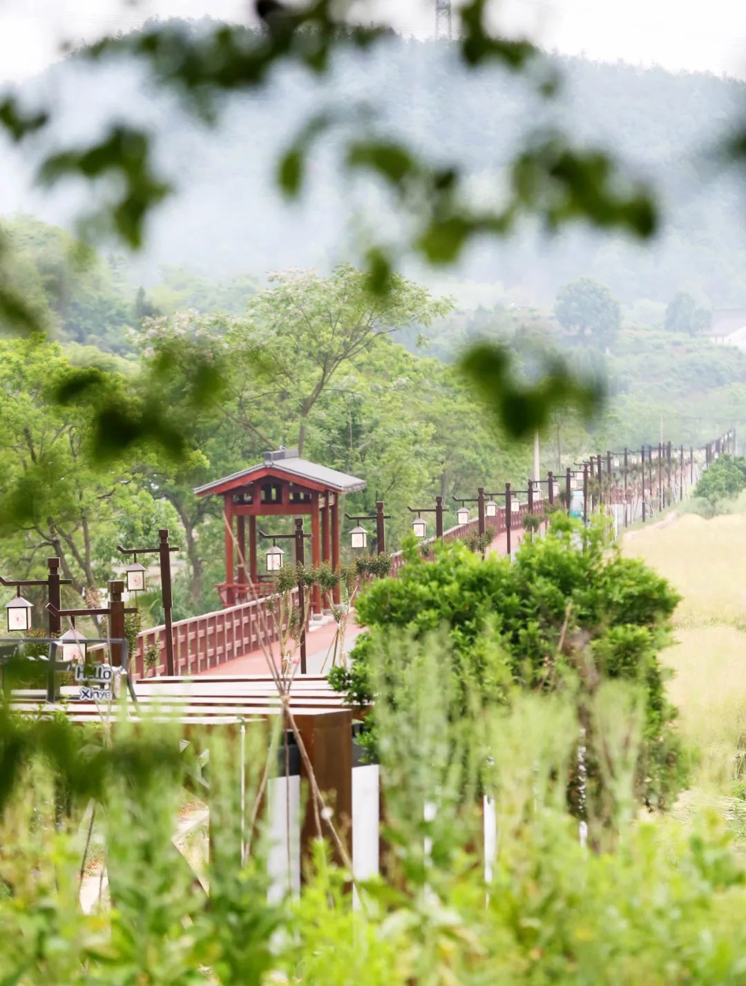 夜新叶，新叶夜，夜夜夜夜夜！唱吧醉仙居，探秘奶茶吧，茶憩戏曲馆，漫步烟花巷……每周六晚