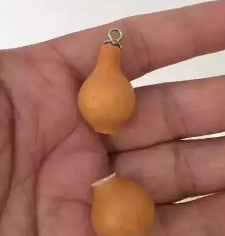 文玩葫芦瘪了怎么回事,文玩葫芦发霉了