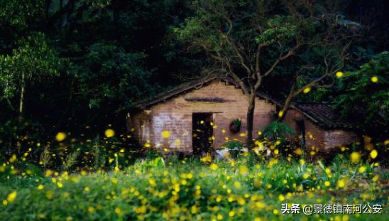 古诗夏夜微凉,古诗夏夜朗诵