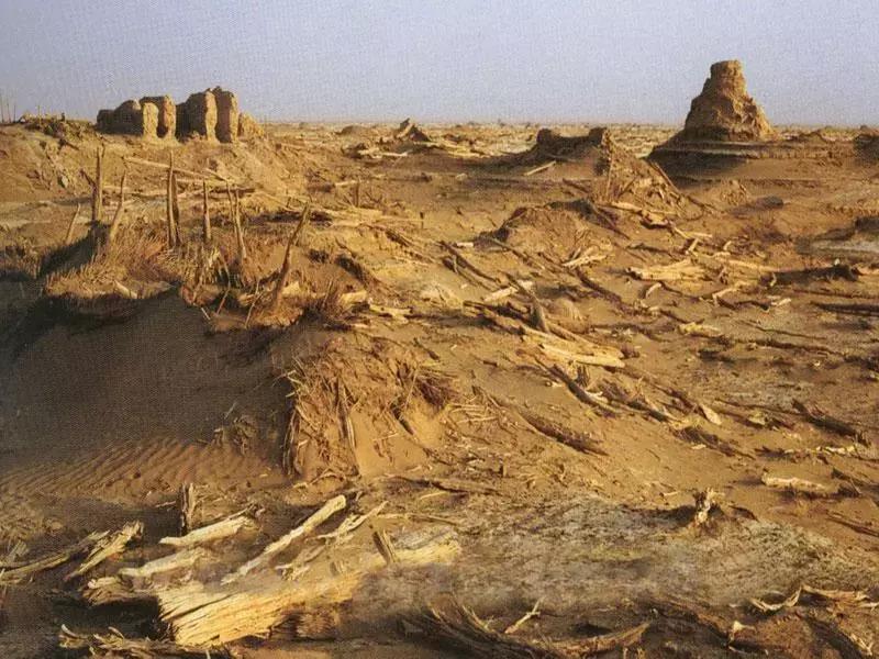 国宝故事合集,国宝故事