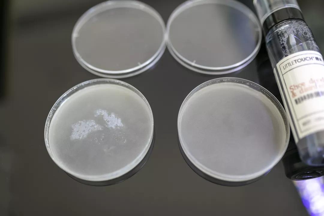 还在担心“脚臭”影响个人形象?黑科技喷雾一喷,24小时无味干爽