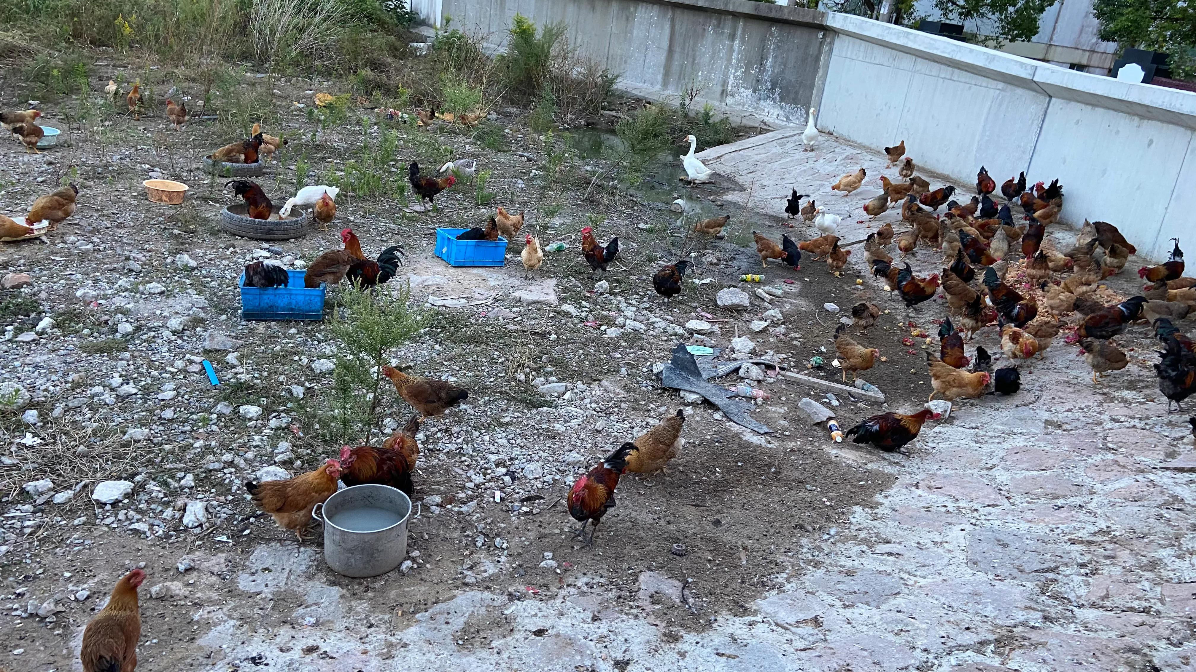 上海哪个地方能看到真正的大海,上海最近景色最好的大海