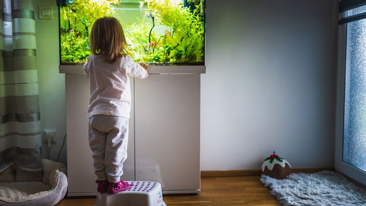 鱼缸的正确摆放位置哪里最佳,鱼缸位置摆放的正确方法图