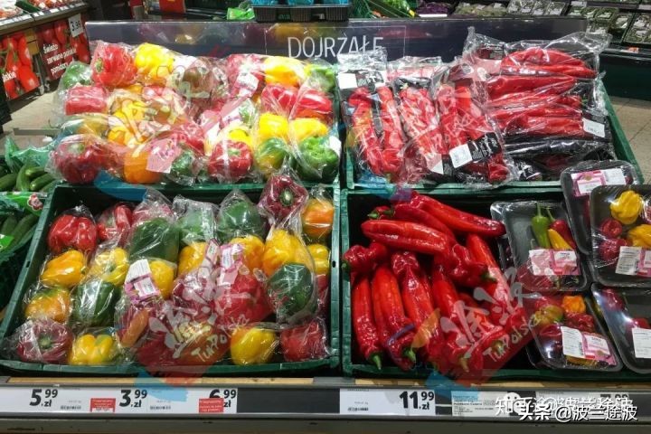 波兰物价多少钱一公斤,波兰与西班牙物价对比